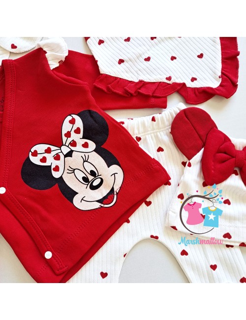 Ensemble MINNIE