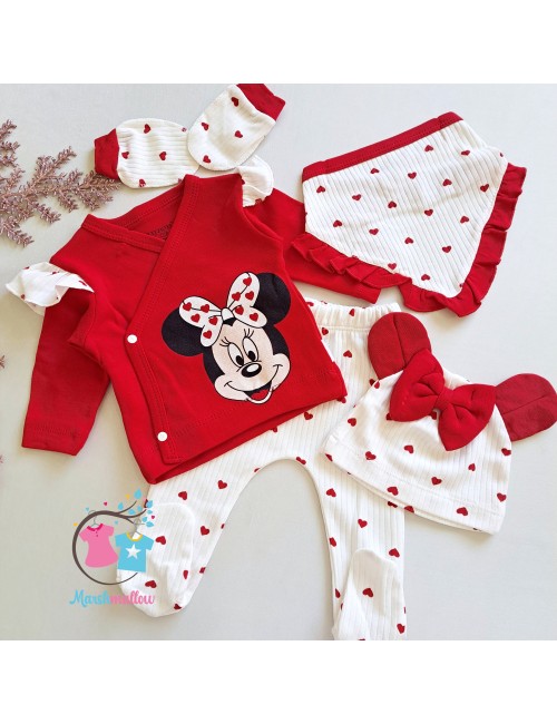 Ensemble MINNIE